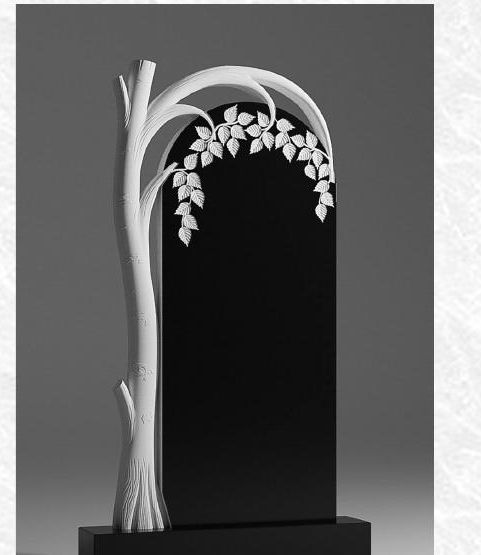 28. Береза с прорезью